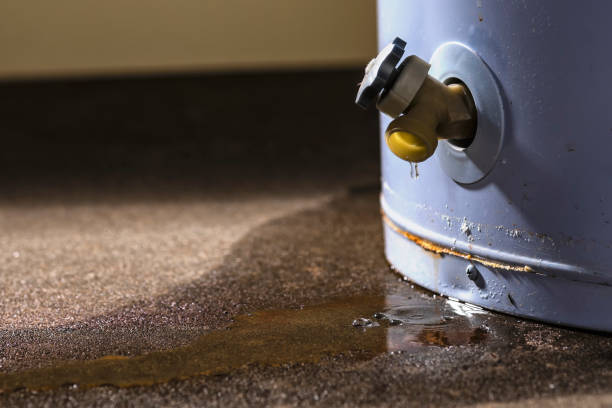 Best Commercial water damage restoration  in Blennerhassett, WV