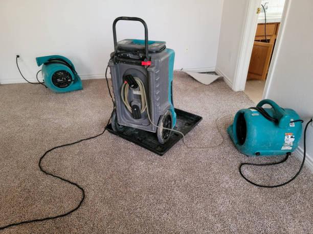 Best 24-hour water damage restoration  in Blennerhassett, WV