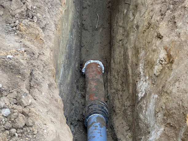 Best Sewage cleanup and water damage restoration  in Blennerhassett, WV