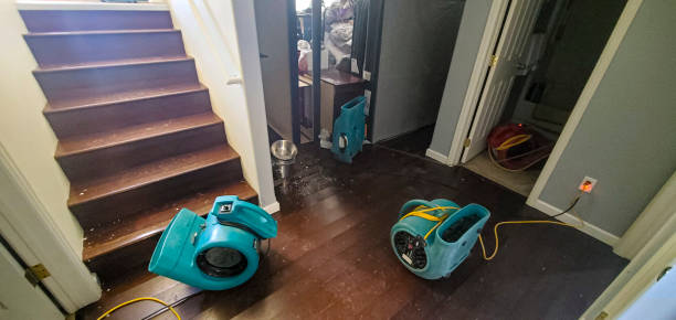 Best Fire Damage Restoration  in Blennerhassett, WV