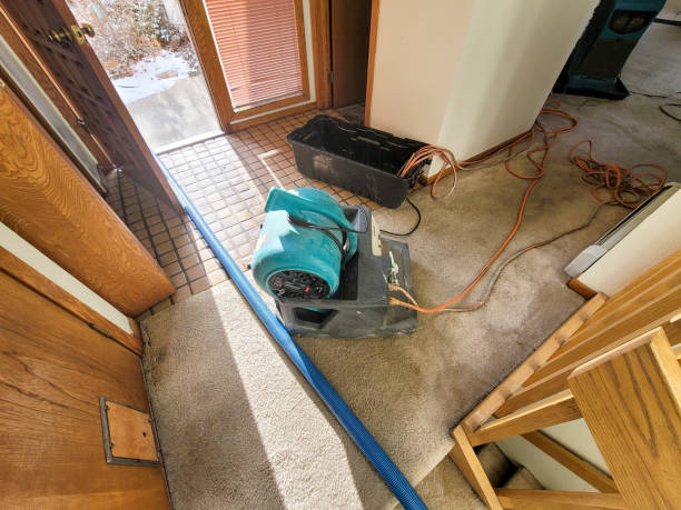 Best Water damage restoration near me  in Blennerhassett, WV