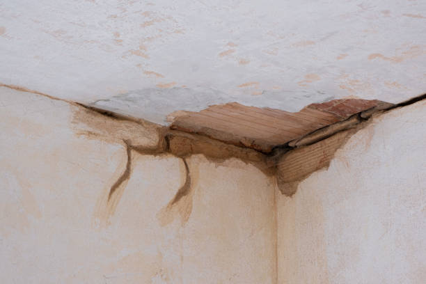 Best Residential water damage restoration  in Blennerhassett, WV