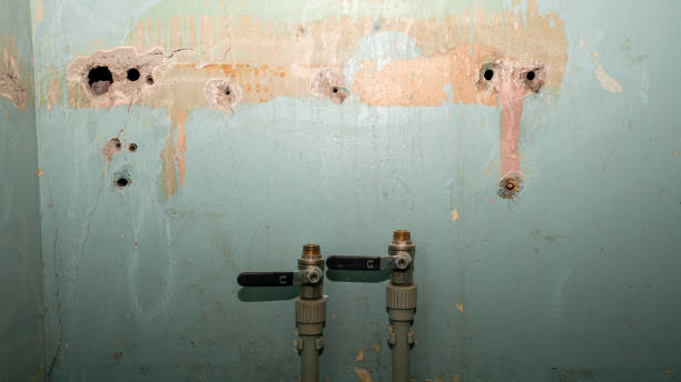 Water damage restoration experts in WV