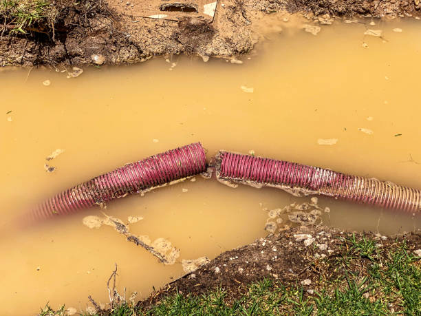 Best Water damage restoration near me  in Blennerhassett, WV