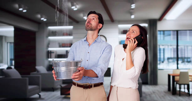 Best 24/7 water damage repair  in Blennerhassett, WV